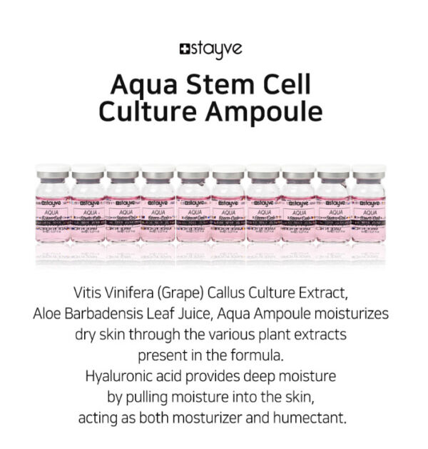 Stayve Aqua Stem Cell Culture Ampoule