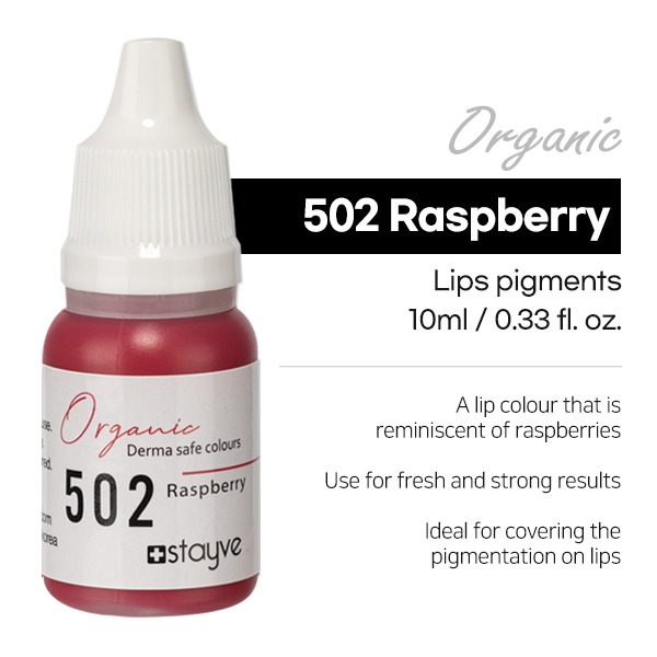 Stayve 502 Raspberry 4