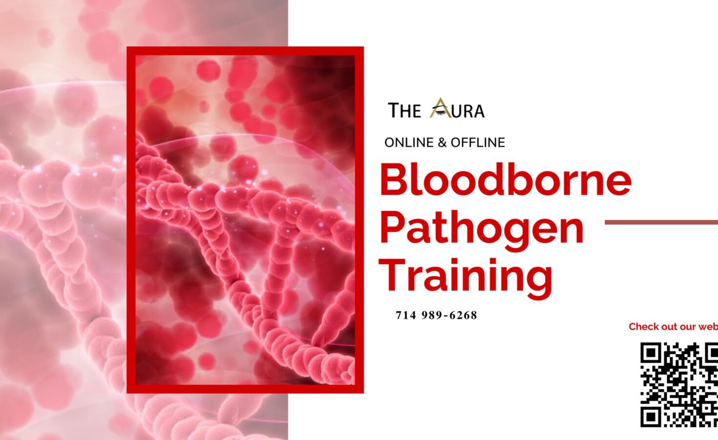 Where to learn Bloodborne Pathogens Course in the USA 1
