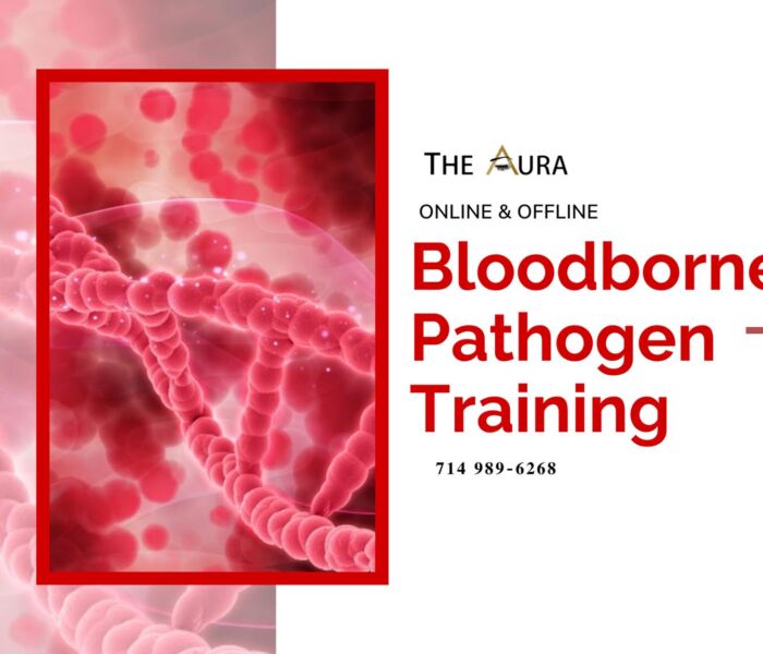 Where to learn Bloodborne Pathogens Course in the USA 1