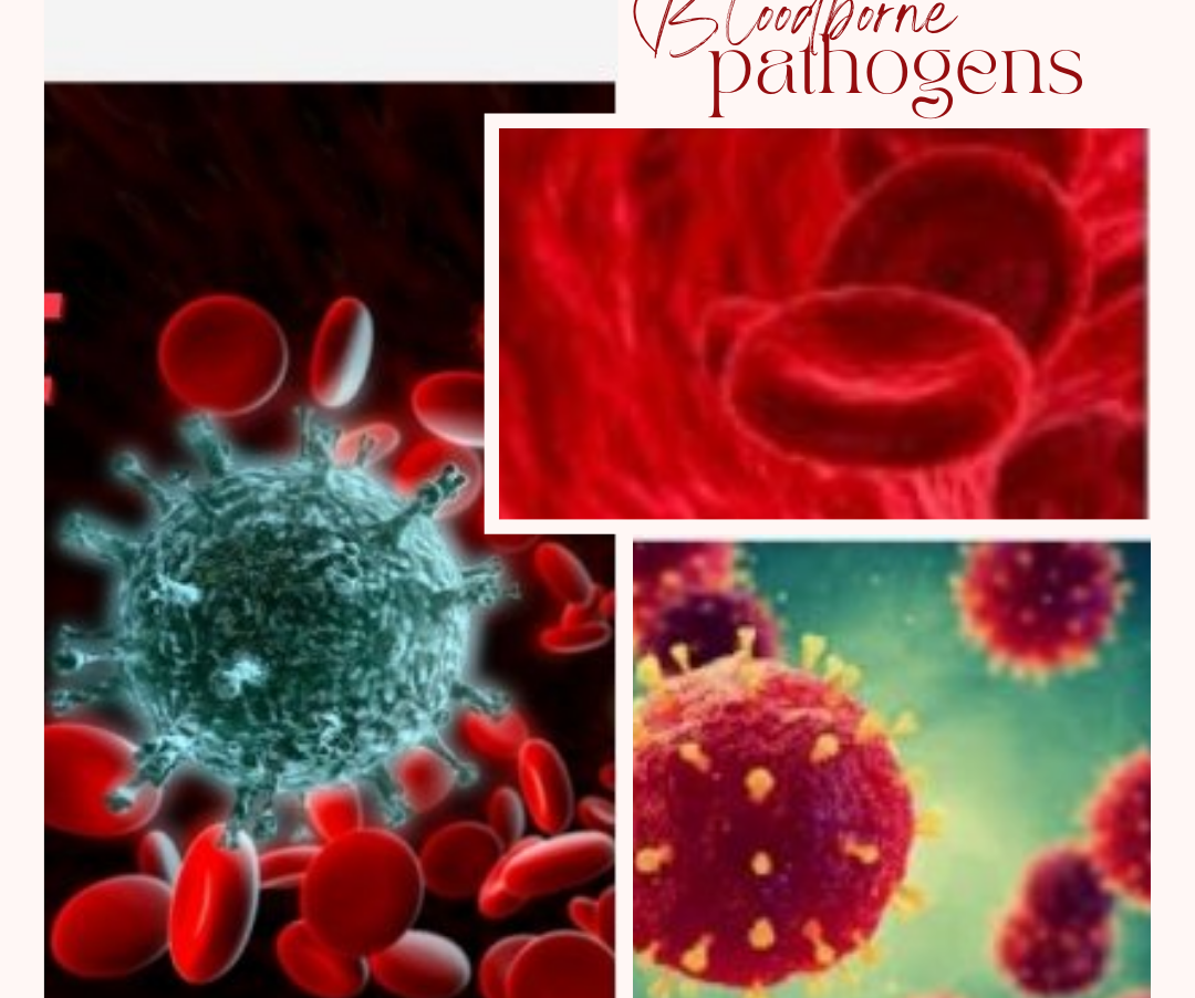 The cheapest Online Bloodborne Pathogens Training in Califrothe USA