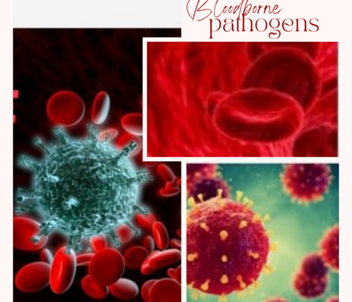 The cheapest Online Bloodborne Pathogens Training in Califrothe USA